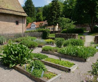 Monastery garden at Hirsau Monastery